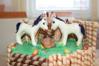 /album/kone-rodinka1/img-4091-jpg1/