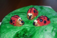 /album/berusky1/img-3892-jpg1/